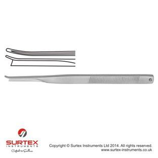 Silver duto wygite w prawo18cm,kocwka 5.0mm/Silver Chisel Right Curved18cm,Blade Width5.0mm  