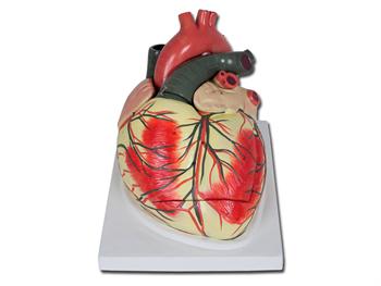 Dobrze wykonane serce  3X - 4 czci/VALUE HEART - 4 parts - 3X