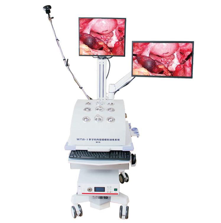 CITEC™symulacja trening endoskopowy M’750-II/CITEC™ M’750-II Endoscopy Train