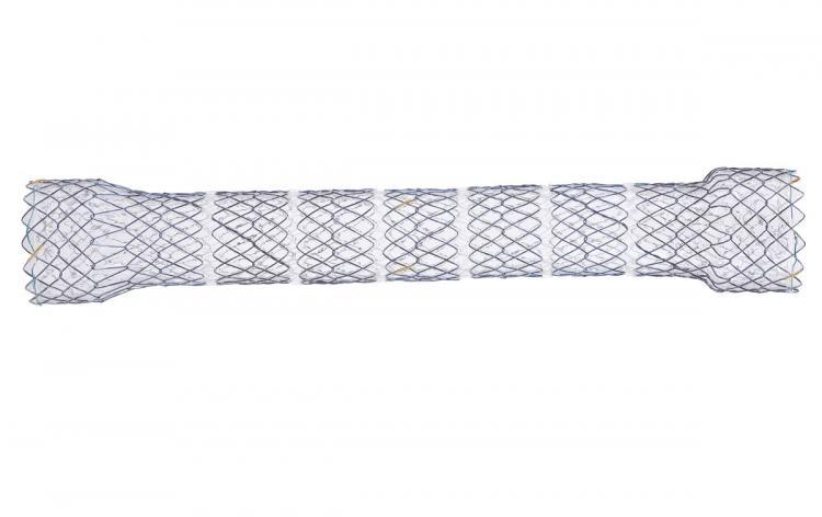 CITEC™ segmentowy stent przeykowy, ARFC/CITEC™ Segmented Esophageal Stent, ARFC